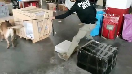 Ekmek dilimleme makinesinden 75 bin adet uyuşturucu hap çıktı