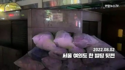 [단독] 서울 한복판서 '집단 생활'?…여의도 출몰한 '쥐떼' ※혐주의※