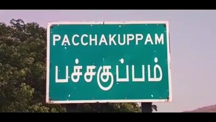 ஆம்பூர் அருகே பாலாற்றில் வெள்ளம் - வீடியோ