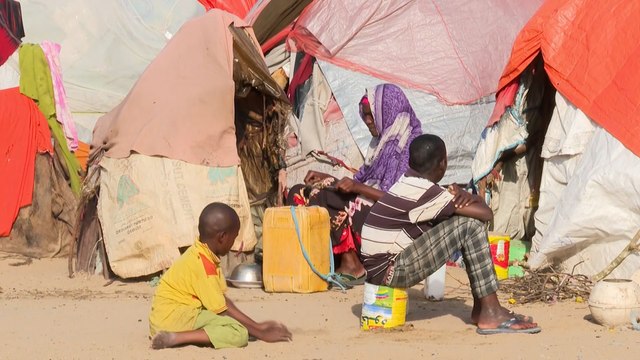 الجفاف يفاقم معاناة الصوماليين ويجبرهم على النزوح تُجاه ضواحي المدن