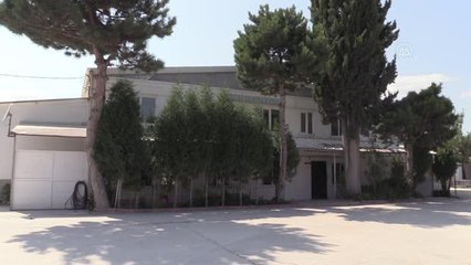 Bilecik gündem haberi: Bilecik'ten Fransa'ya 700 ton "salyangoz dolması" ihraç ediliyor