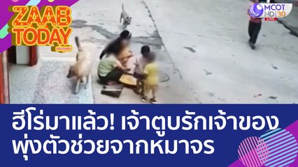 ฮีโร่มาแล้ว! เจ้าตูบรักเจ้าของพุ่งตัวช่วยจากหมาจร แบบนี้ยอมไม่ได้! (5 ส.ค. 65) แซ่บทูเดย์