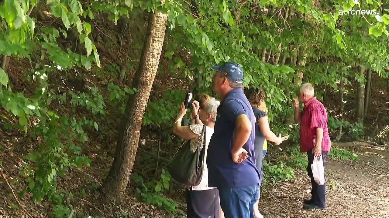 Striktes Kontaktverbot: Wer am Sankt-Anna-See Bären füttert, fliegt raus