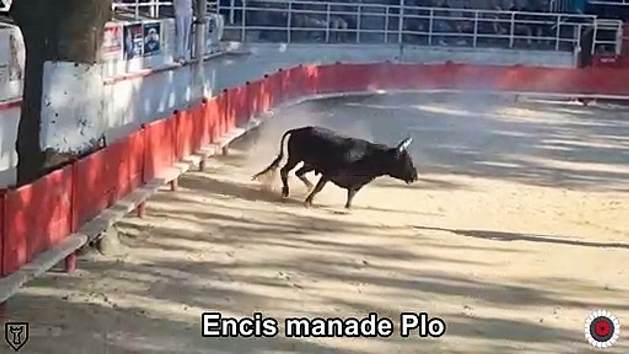 2022 07 30 Encis