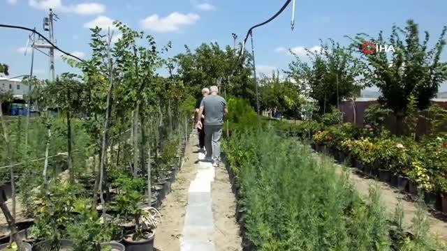 Balıkesir haberi | Balıkesir'de işçi emeklisi vatandaş, kendini yeşile adadı