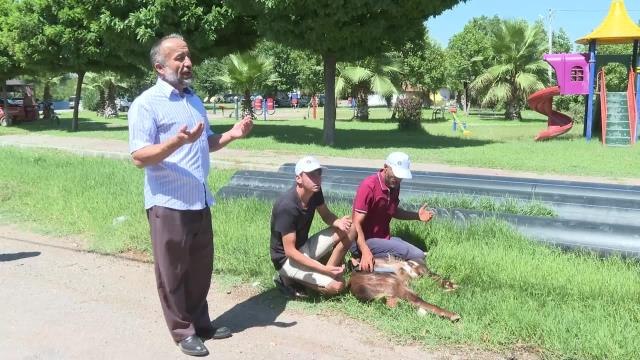 Antalya haberleri! Antalya Büyükşehir, Sulanamayan Arazilere Modern Sulama Sistemi Kuruyor
