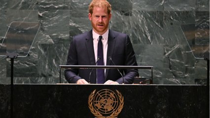 Prince Harry sues the UK government again over security issues