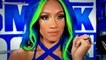 WWE Want Sasha Banks Back…Paige Talks OnlyFans…AEW Fans Upset…Wrestling News