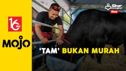 Ditawar RM30,000 untuk jual ‘Tam’