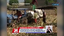 Ilang magsasaka, hirap daw sa pagbiyahe ng kanilang ani papuntang pamilihan dahil sa kawalan ng maayos na farm-to-market roads | 24 Oras