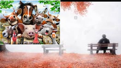 526 GUERIR CONTEMPLATION CONCENTRATION CONNEXION