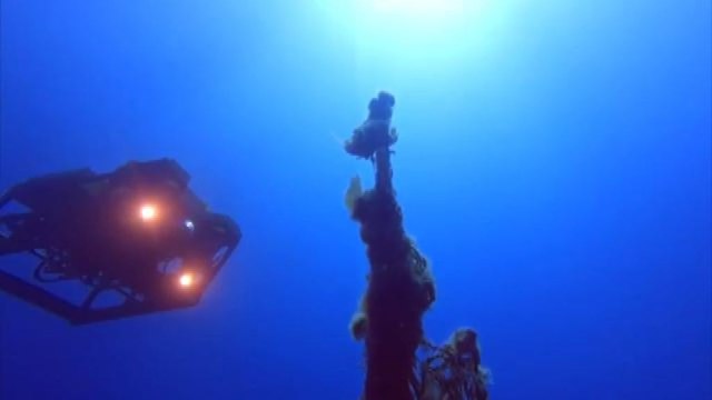 Sott'acqua all'Asinara a caccia di reti da pesca abbandonate