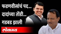 दादा फसले, स्वतःलाच देऊन टाकलं 'हे'  पद | Ajit Pawar Devendra Fadnavis