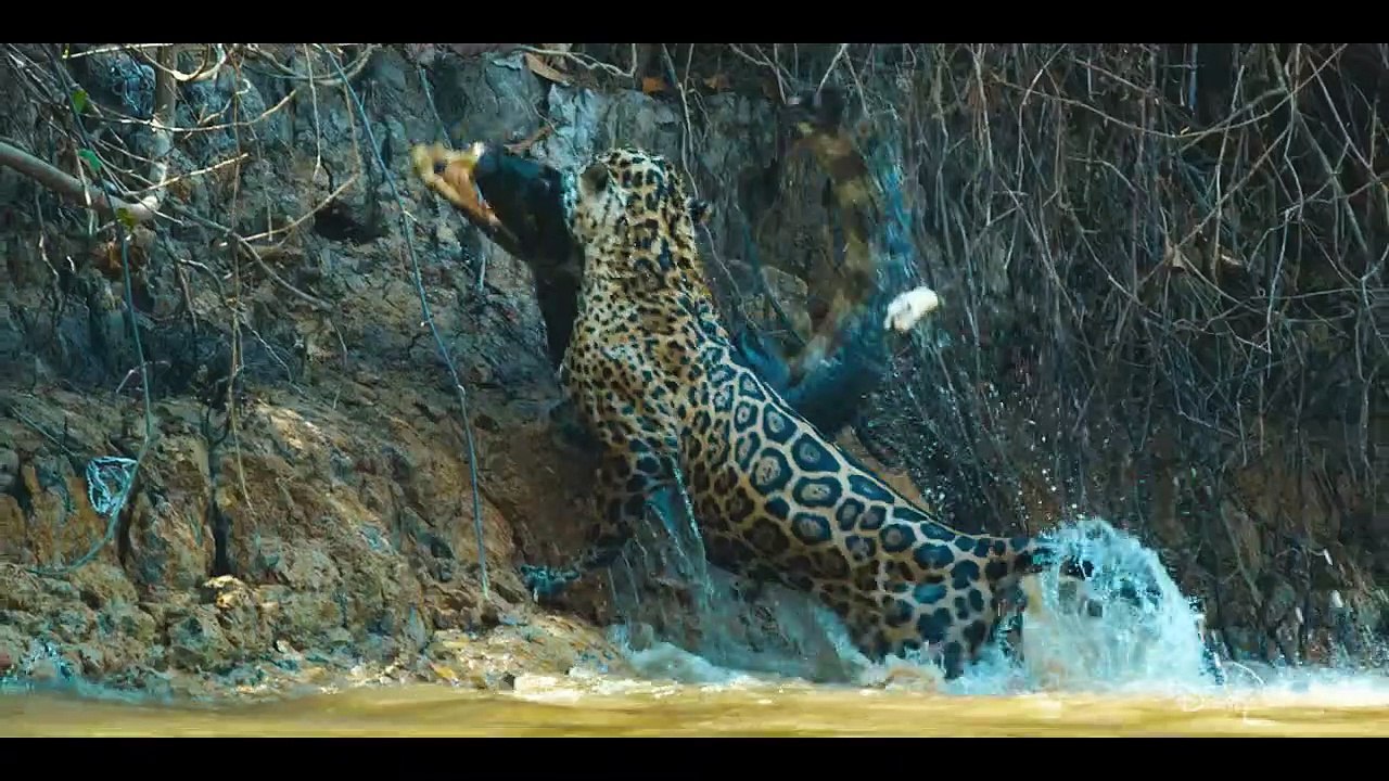 Les aventures extraordinaires de Bertie Gregory - saison 1 Bande-annonce VO