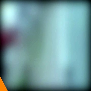 Elle achète un livre ancien sur Internet, ce qu'elle découvre à l'intérieur est terrifiant