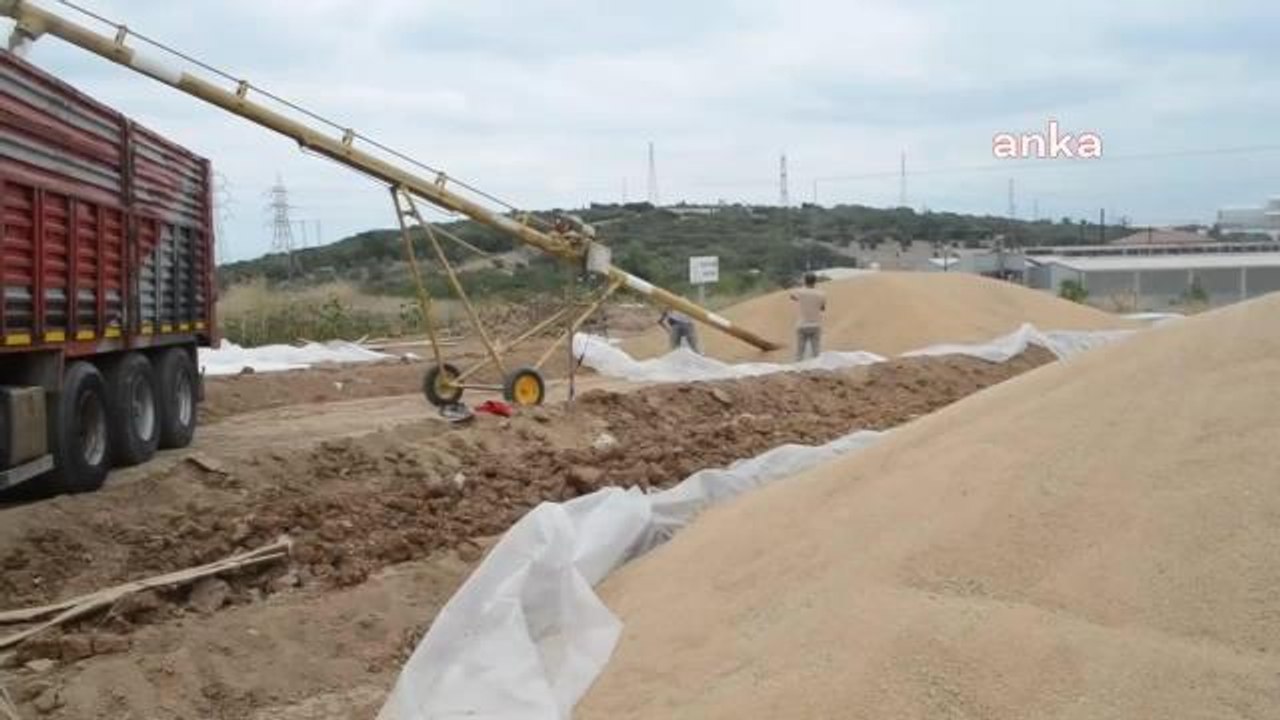 Eskişehir yerel haberleri | Bilecikli Üreticinin Buğdayı Eskişehir'e Doğru Yola Çıktı