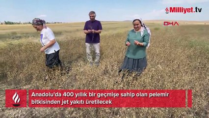 33 dönüme ekim yapıldı: Jet yakıtı üretilecek