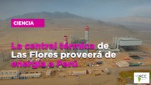 La central térmica de Las Flores proveerá de energía a Perú