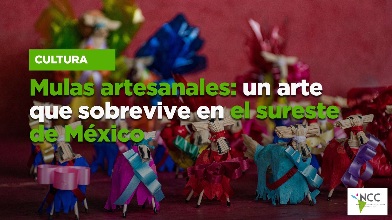 Mulas artesanales: un arte que sobrevive en el sureste de México