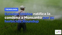 Estados Unidos ratifica la condena a Monsanto por su herbicida Roundup
