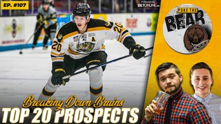 Breaking Down the Bruins Top 20 Prospects | Poke the Bear