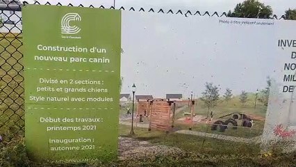 Ce parc canin disparaîtra (Le Reflet - Vicky Girard)