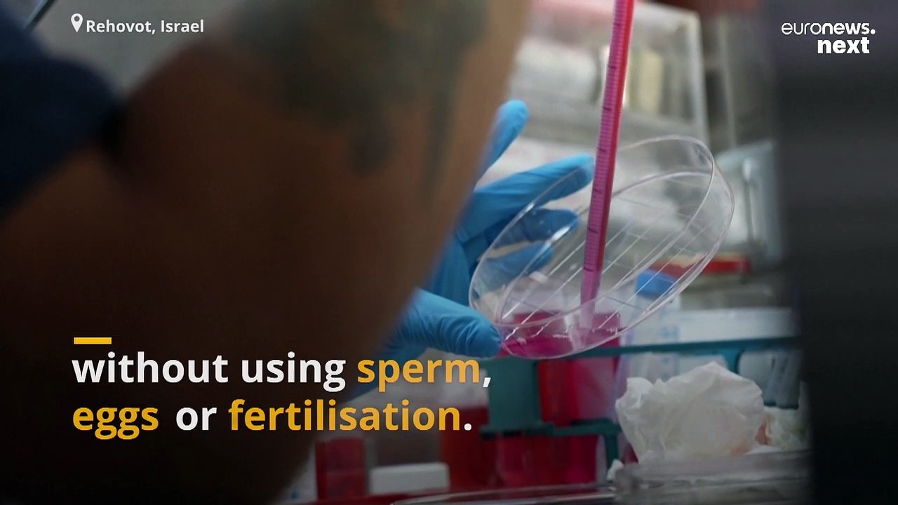 Scientists create the world’s first 'synthetic' embryos without using sperm or eggs