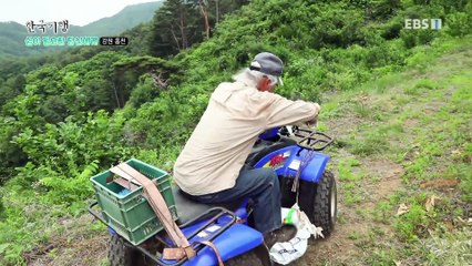 한국기행 - Korea travel_쉼이 필요한 당신에게 5부- 이 여름 당신과 함께_#001