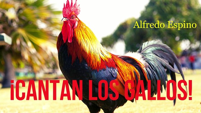 CANTAN LOS GALLOS ALFREDO ESPINO | Jícaras Tristes Panoramas y Aromas | Alfredo Espino Poemas
