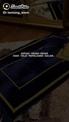 Kucing itu pembawa berkah insyaallah