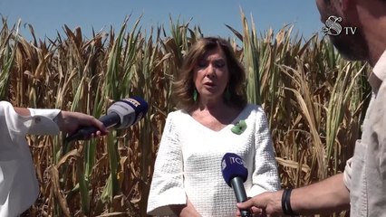 Siccita', Casellati: "Va evitato che diventi deserto economico"
