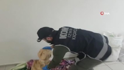 İzmir haberi: İzmir'de 11 bin 500 yıllık tarihi eser ele geçirildi