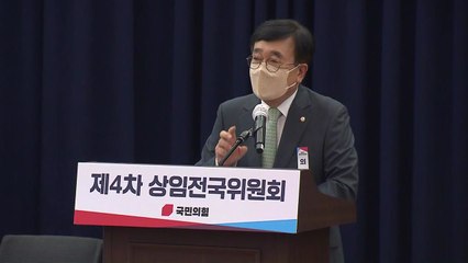 국민의힘 상임전국위, '비상대책위' 전환 공식화 / YTN