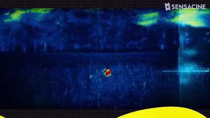 Depredador: La presa - Crítica de película