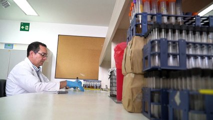 Cerveja de 400 anos atrás é recriada no Equador