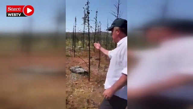 Muharrem İnce: Yangın bölgesinde durum içler acısı, benim ömrüm yetmeyecek buranın eski halini görmeye