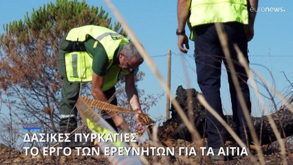 Γαλλία: Σε αναζήτηση των αιτιών των πυρκαγιών