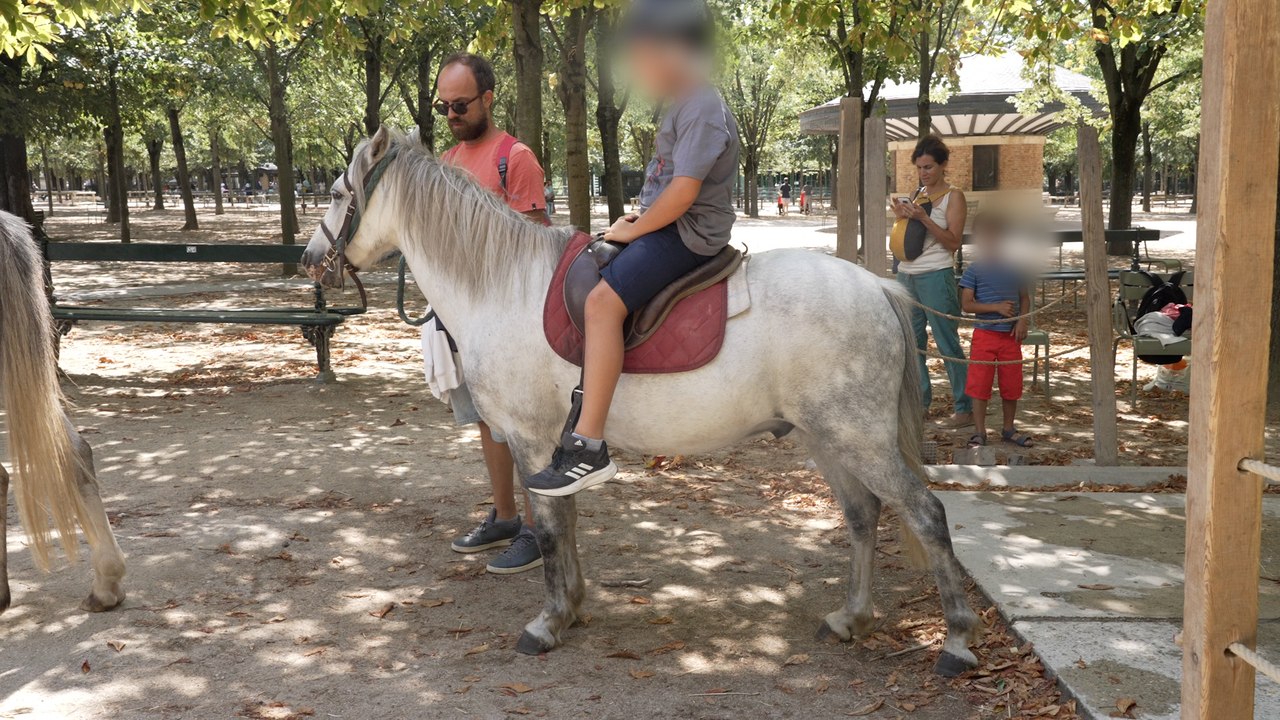 « On fait du business sur le dos des animaux » une association veut faire interdire les balades à poney dans les parcs parisiens