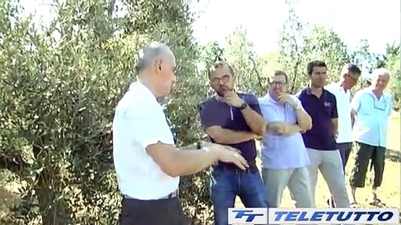 Video News - UN DRONE PER SALVARE GLI ULIVI