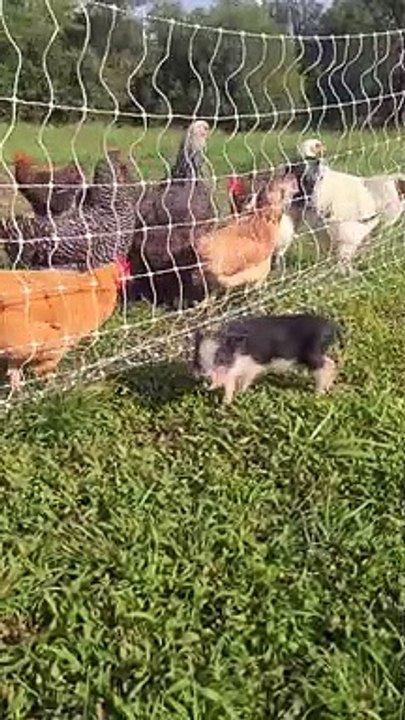 mommyfarmer_20220512_29