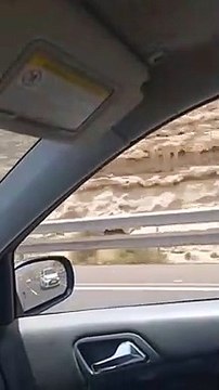 Indignación por el apagón de los molinos eólicos en Tenerife