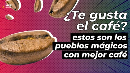 Si te gusta el café, no dejes de visitar estos Pueblos Mágicos
