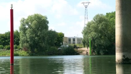 França se mobiliza para socorrer beluga no rio Sena