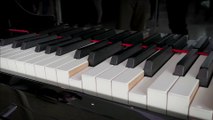 Piano, training for Beginner - 18 to 20 tips to improve Piano skills