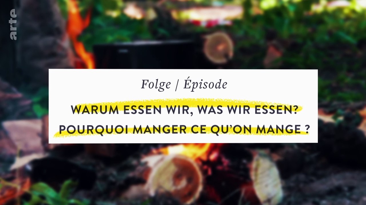 Warum #essen wir, was wir #essen | #42 - Die #Antwort auf fast alles