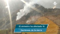 Incendio forestal afecta Sierra de Rayones Nuevo León