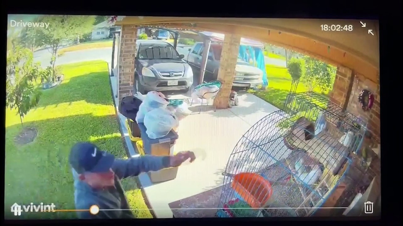 Roban Perico en Hidalgo