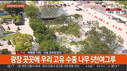 돌아온 서울 광화문광장… '푸르른 공원처럼'