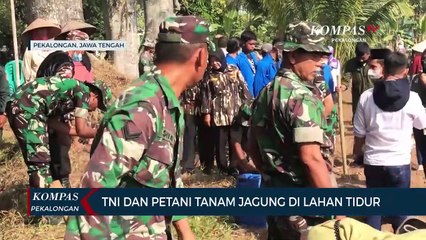 TNI dan Petani Tanam Jagung di Lahan Tidur