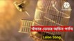 Khachar bhitor ochin pakhi (খাঁচার ভেতর অচিন পাখি) l Lalon Song ll